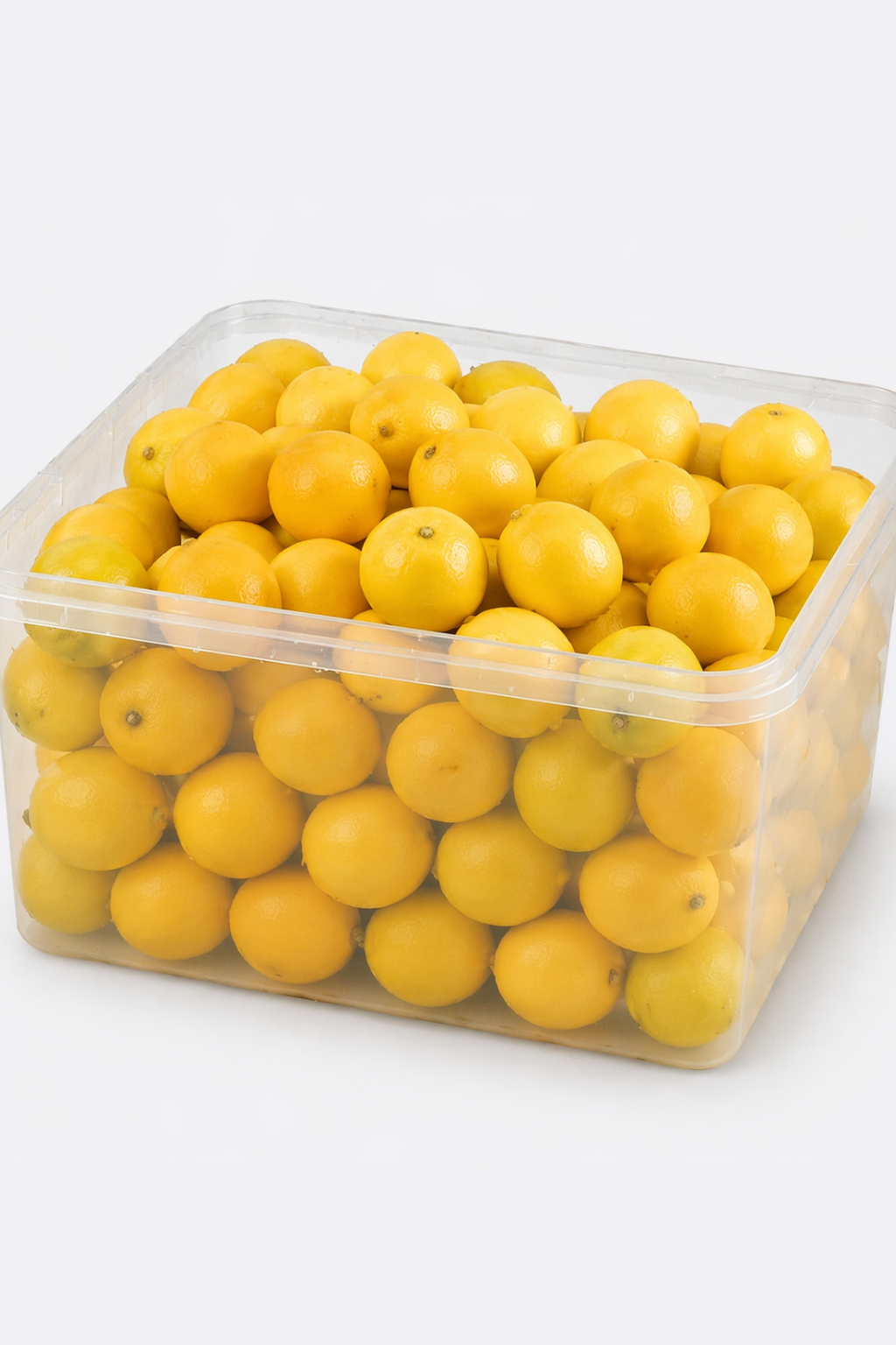 LIMÓN encurtido| لحامض مصير