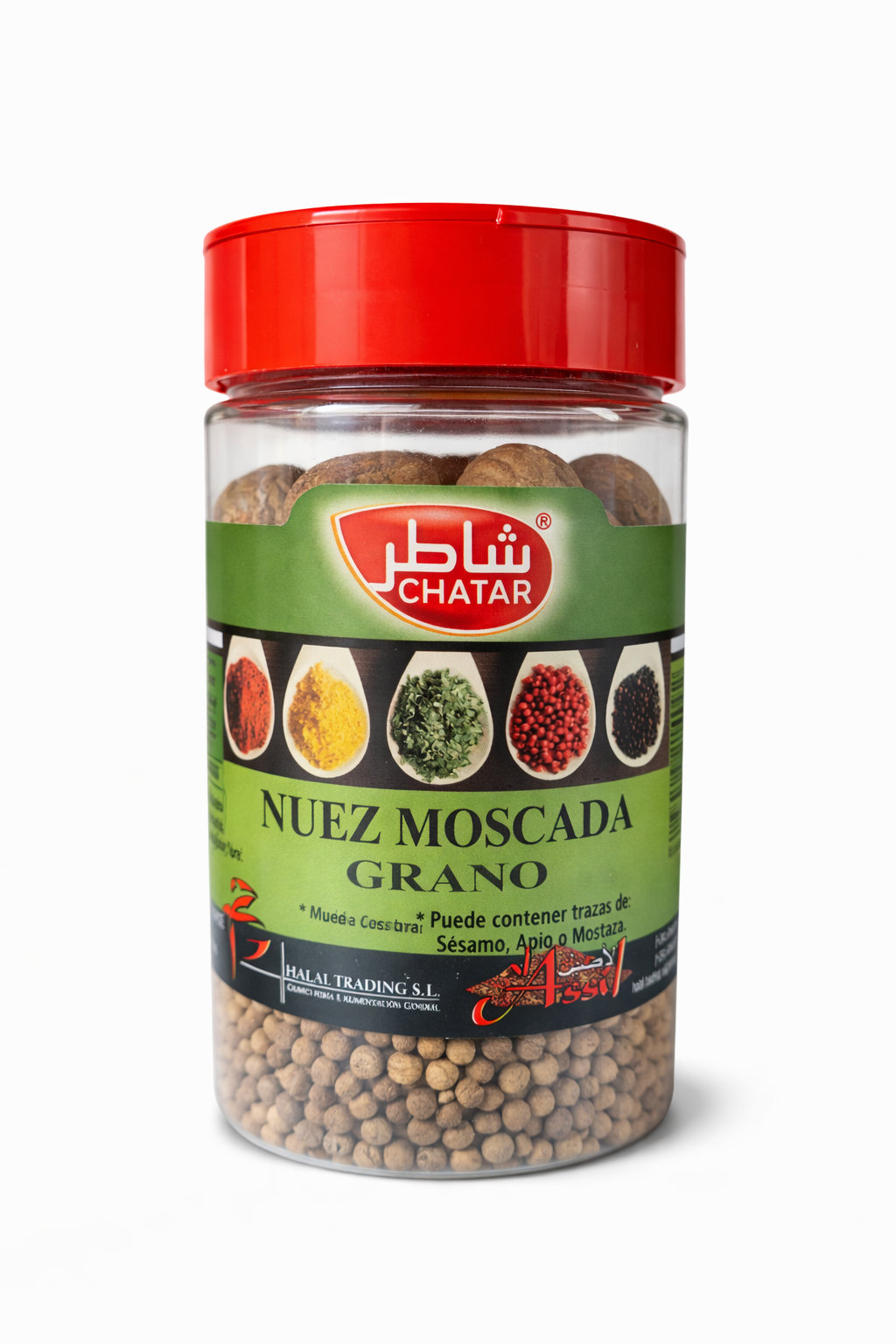 MUEZ MOSCADA grano | حبة جوزة الطيب